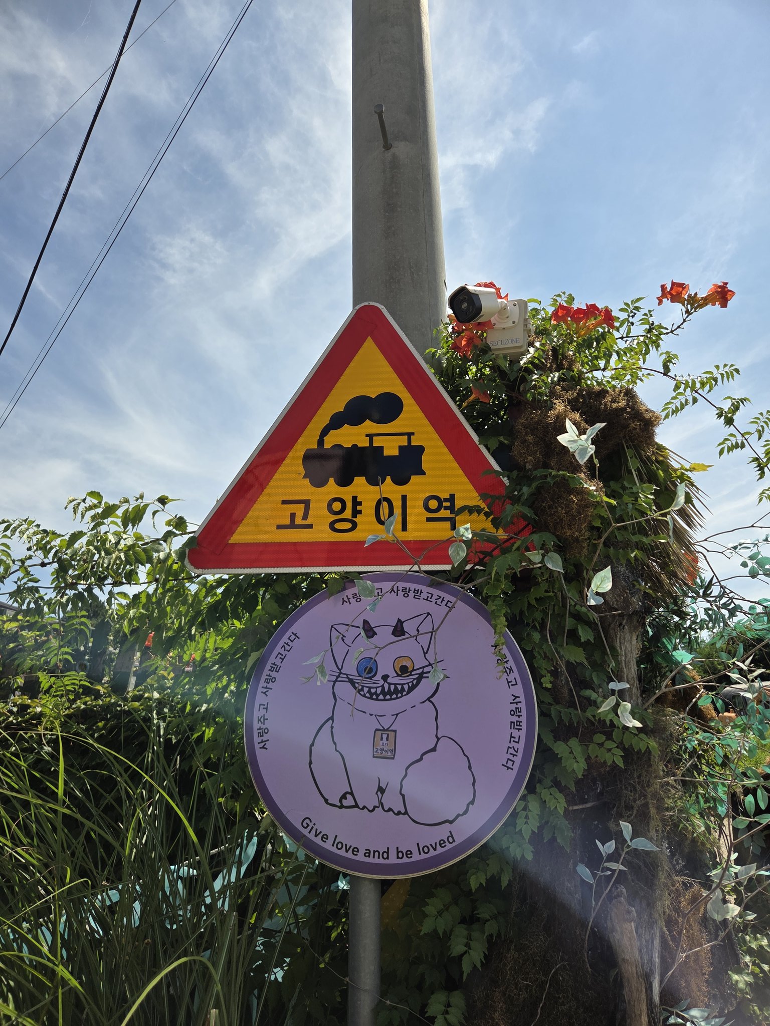 인천 영흥도에 있는 고양이역.jpg | 인스티즈