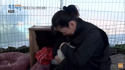 당신이 버린 강아지는 어떻게 되었을까 | 인스티즈