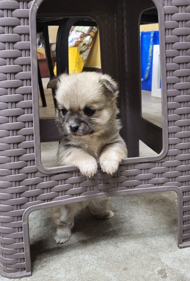 (공지라니... ++추가)새로생긴 회사 복지.. 미쳐서 도저히 일을 못하겠네.. (추가....)++추가 | 인스티즈