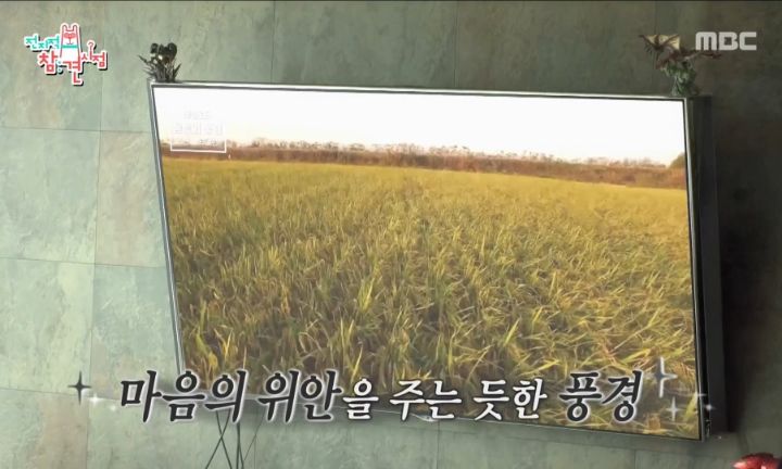 부모님의 부동산 투자 실패로 재산처분한 심형탁 | 인스티즈