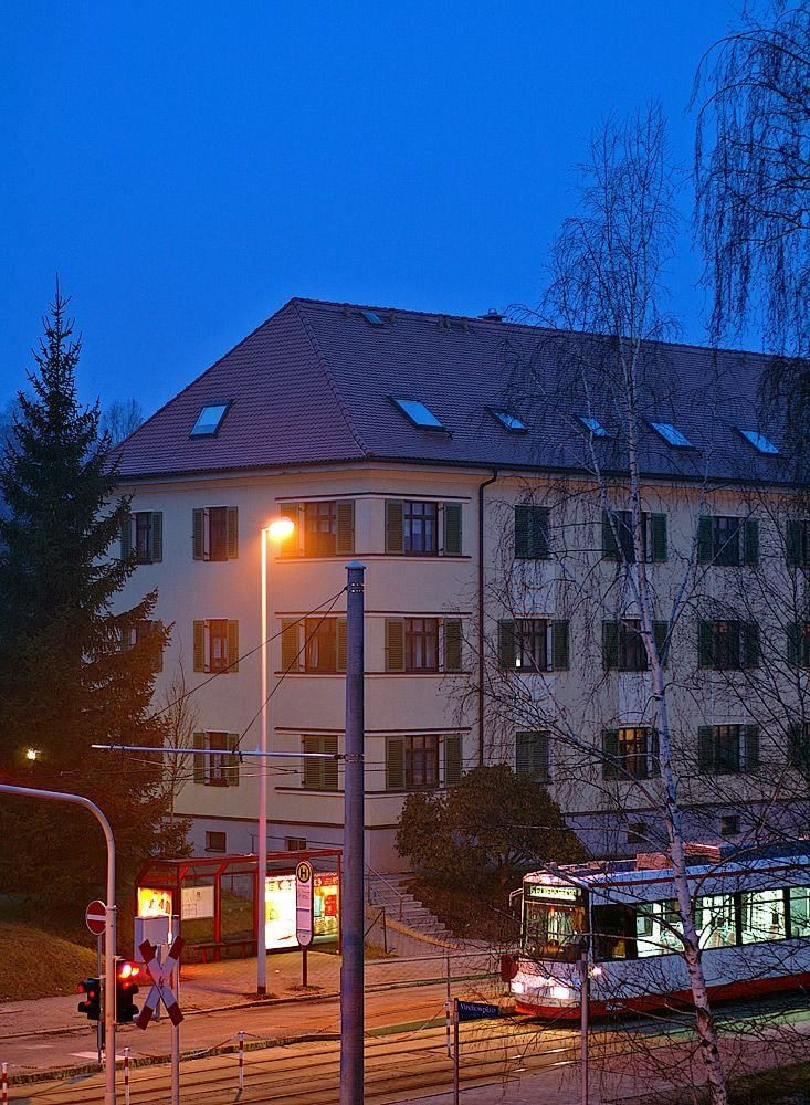 나만 몰랐던 '개와 늑대의 시간' 뜻 | 인스티즈