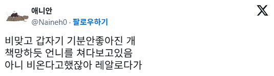 비맞고 갑자기 기분 안좋아진 강아지 | 인스티즈