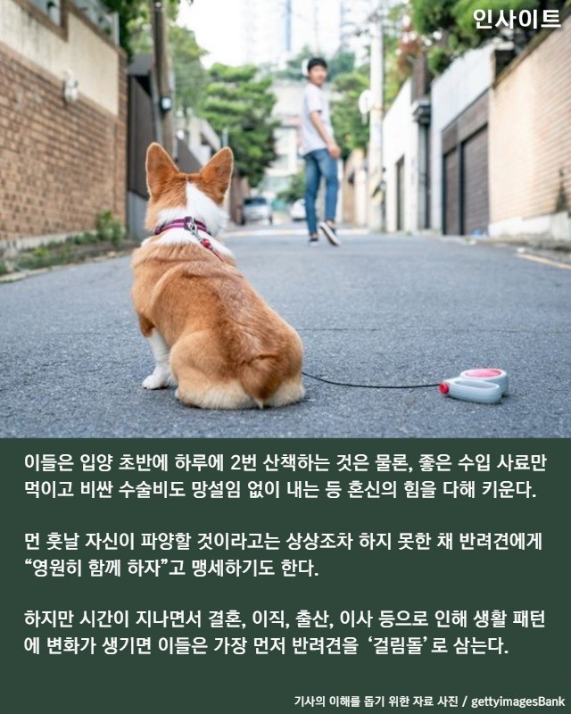 요즘 반려견 파양하는 청년들이 '죄책감' 안느끼려고 쓰는 방법 | 인스티즈