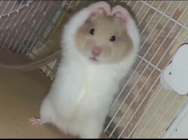 힙합보단 사랑 사랑보단 돈 | 인스티즈