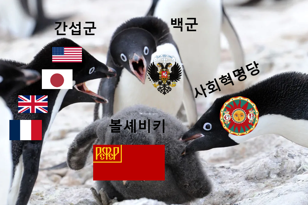 러시아는 왜 서구권을 극혐하는 것일까? | 인스티즈