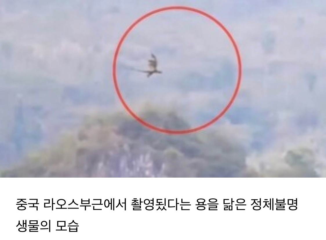 오랫동안 모아 온 여시 캡쳐 35장 📷 | 인스티즈