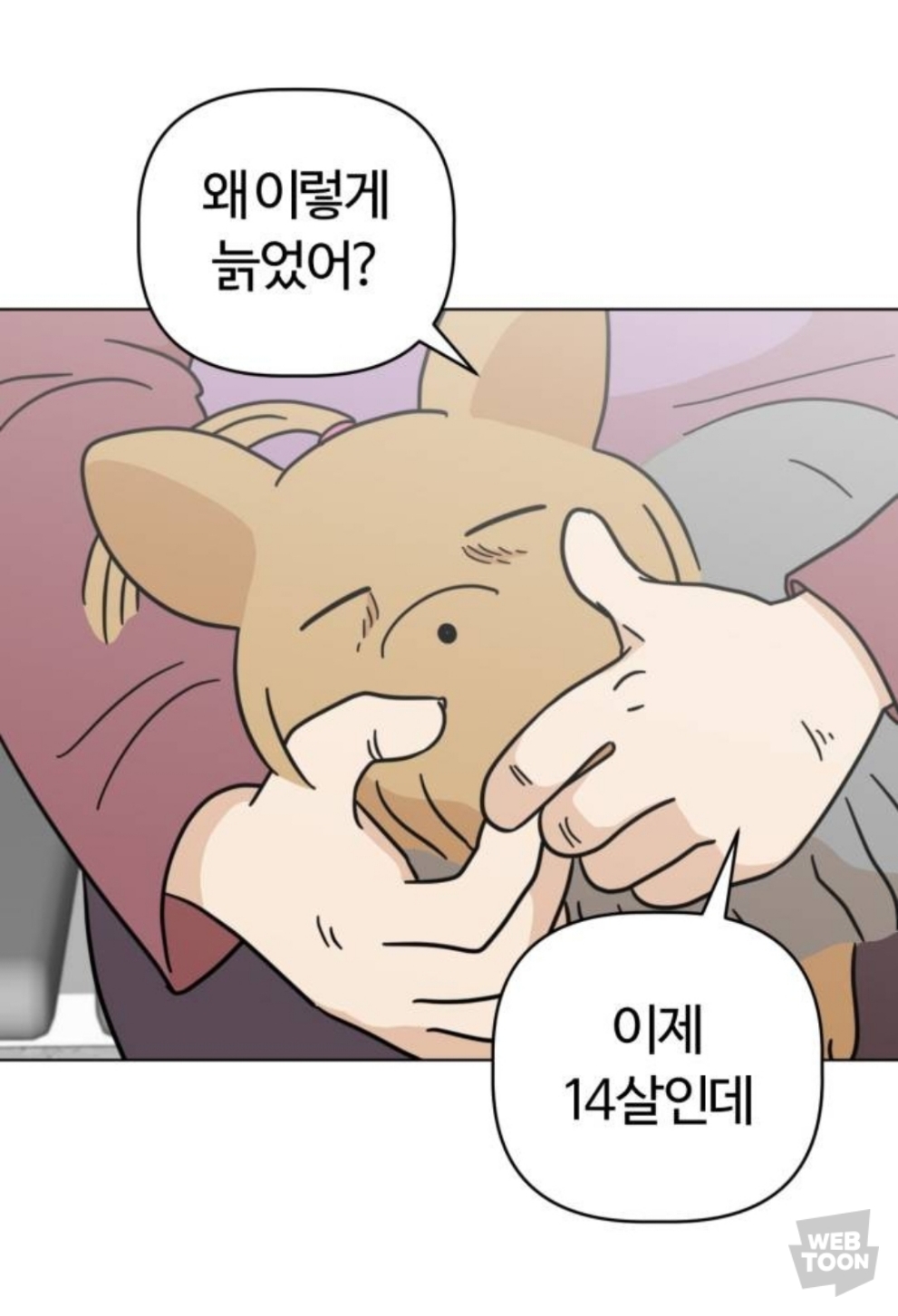 밖에서 보면 큰일난다고 난리난 웹툰 마루는 강쥐 오늘자 에피..jpg | 인스티즈