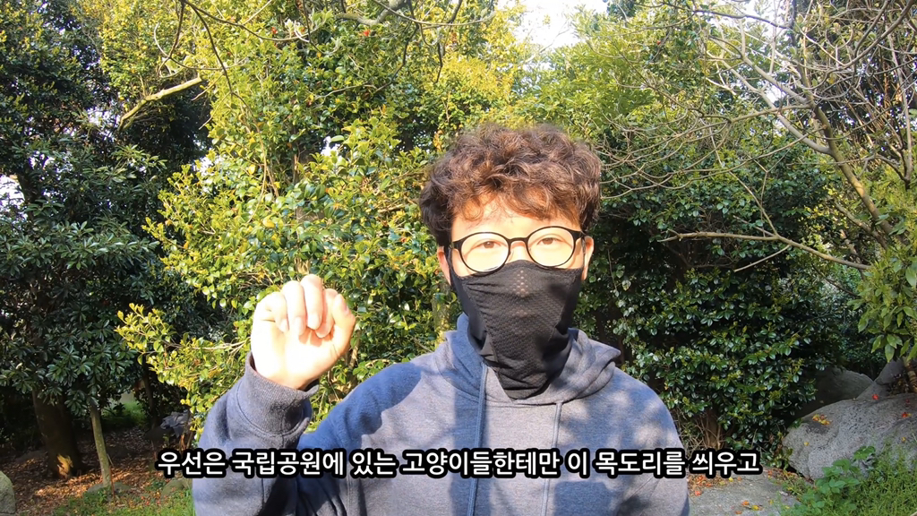 고양이가 자연생태계에 끼치는 심각한 영향(새 사체사진있음) | 인스티즈