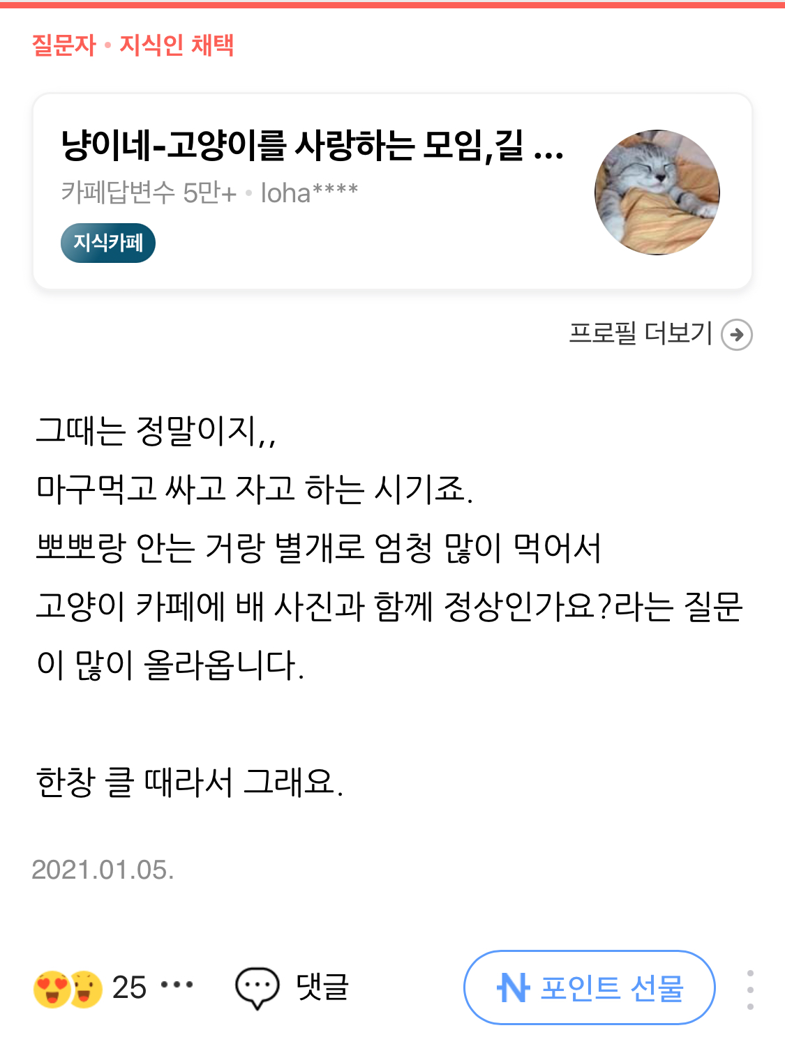 아기고양이 뽀뽀 | 인스티즈