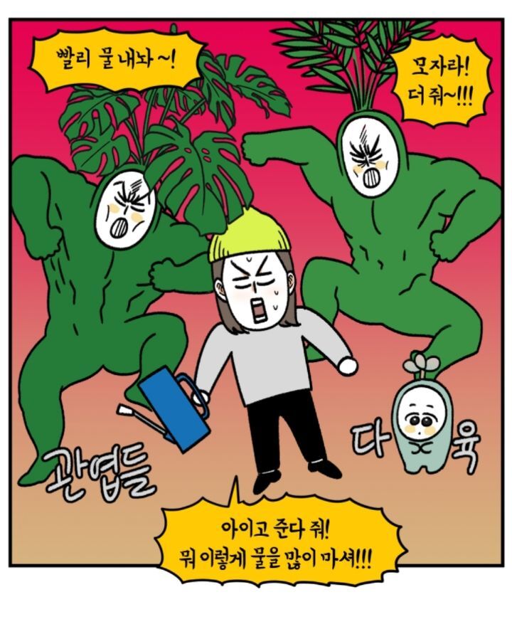 다육이 키우는 초보자들이 제일 많이 하는 실수 | 인스티즈