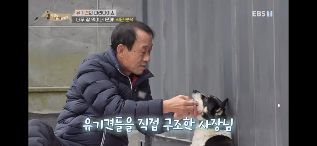 [세상에나쁜개는없다] 유기견의 파라다이스 | 인스티즈