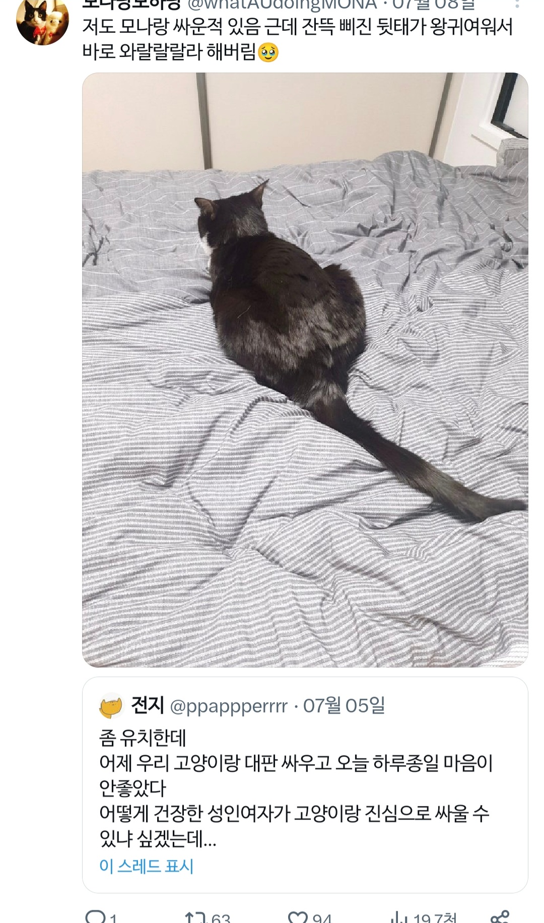 고양이랑 진심으로 싸워서 속상했던 트위터리안.twt | 인스티즈