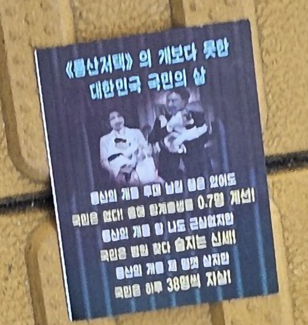 용산으로 떨어진 북한 발 삐라 사진 (new있음) | 인스티즈