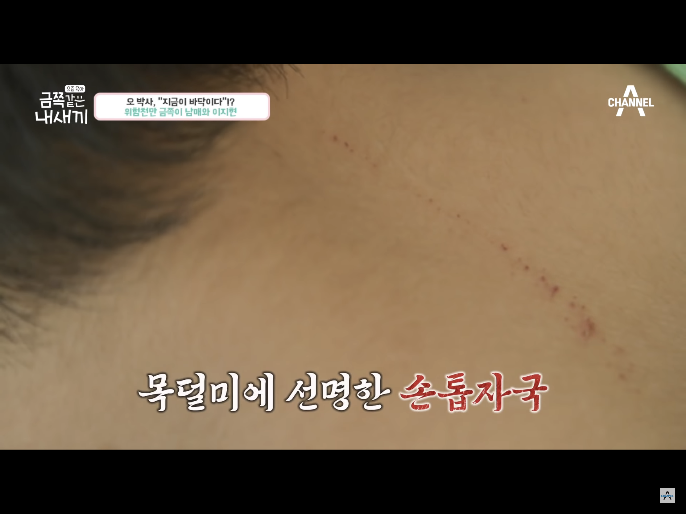 아이를 가해자로 만든 빵점(?) 이지현의 지도력.goldsaekki(금쪽같은내새끼) | 인스티즈