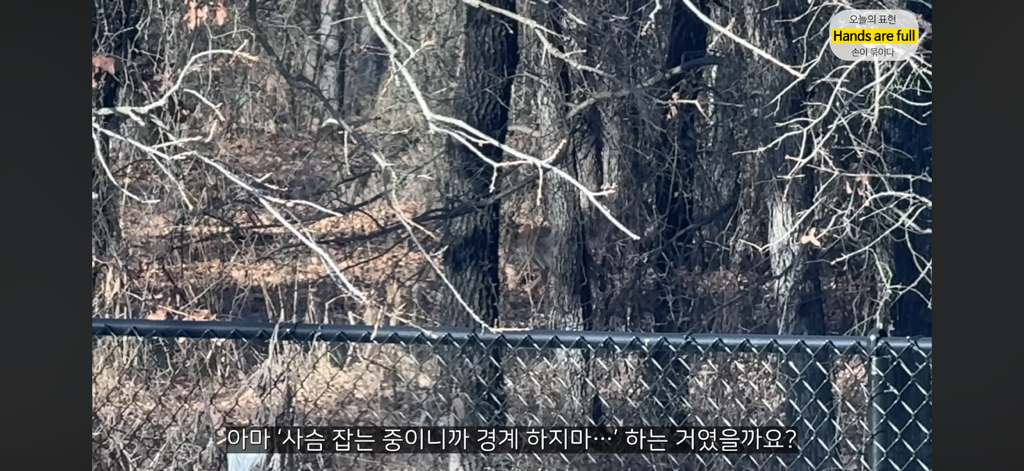 진짜 명견 같은 올리버쌤네 왕자 | 인스티즈