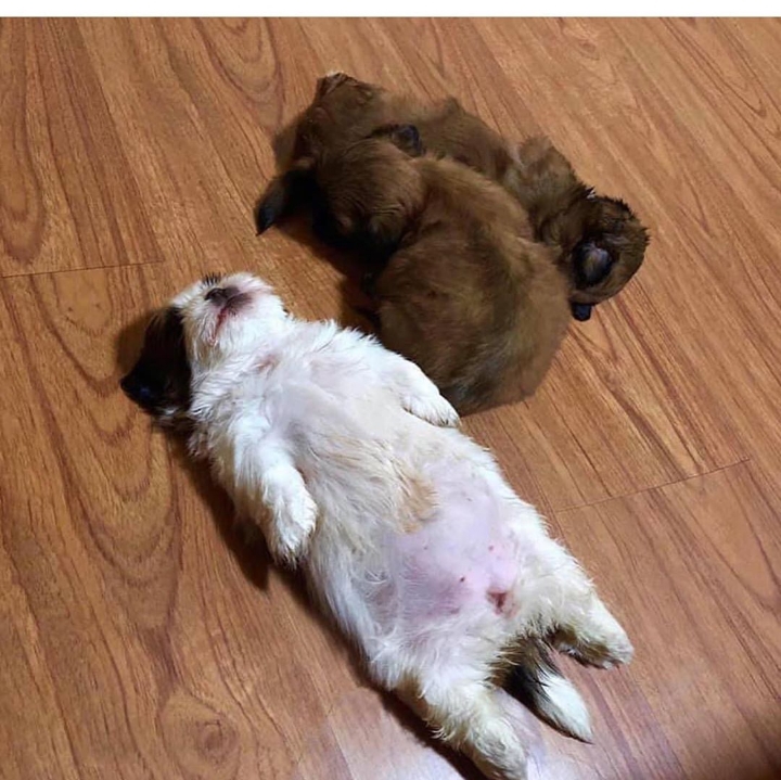 6c1eb62323aa9153e83aa96aabb711c0a60f0550