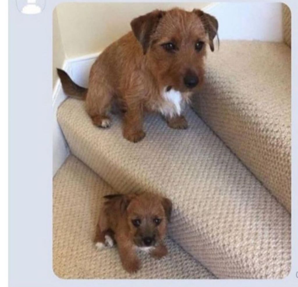 누가봐도 얘가 얘 낳음 | 인스티즈