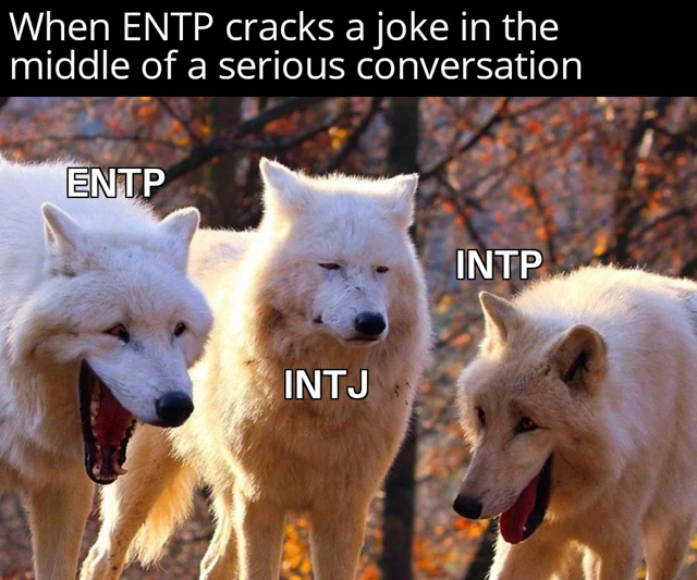 ENTP-INTJ-INTP 관계성 한 짤 요약.jpg | 인스티즈