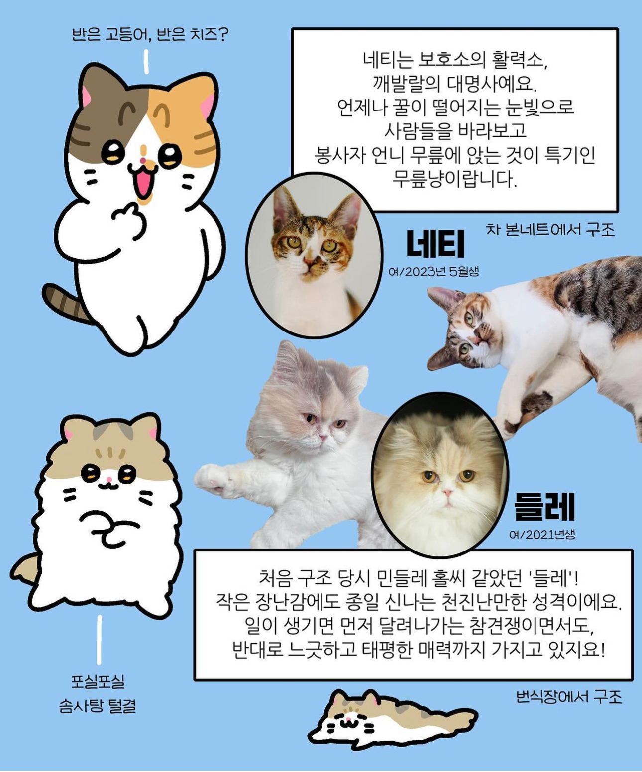 나비야 이미지