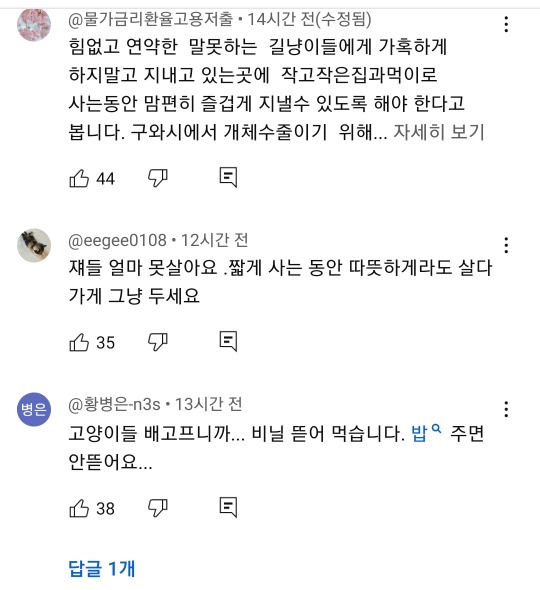 예전과 달라진 길고양이 급식소 겨울집 여론 | 인스티즈