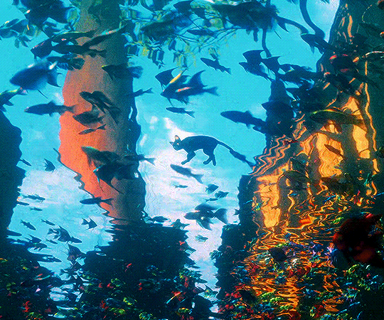 라트비아에서 기생충급 인기라는 국민영화 | 인스티즈