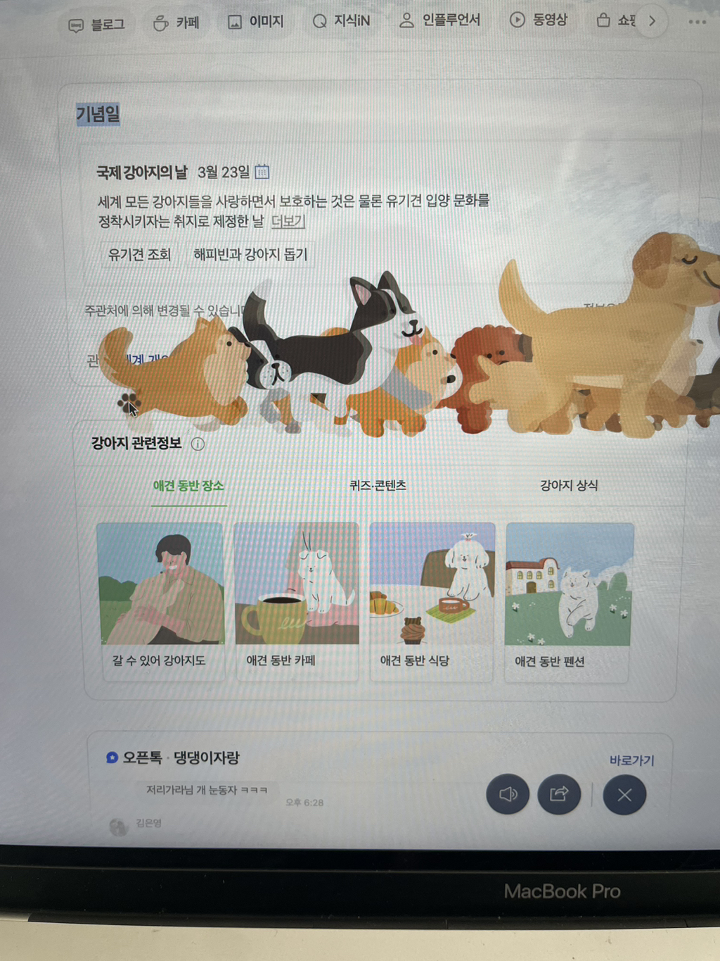 네이버에 '강아지의 날'을 검색하면 나오는 모습 | 인스티즈