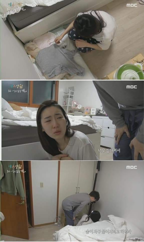 무지개 다리를 건넌다는 것 | 인스티즈