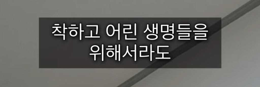 입양 하루만에 입양자에게 살해당한 깜냥이 (탄원서 꼭 부탁해🔥🔥🔥) | 인스티즈