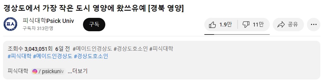 영양군 일로 구독자 5만명 빠졌다는 피식대학이 걱정 없는 이유.JPG | 인스티즈