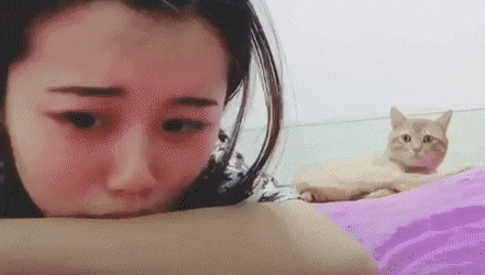 집사 위로해주는 고양이.gif | 인스티즈