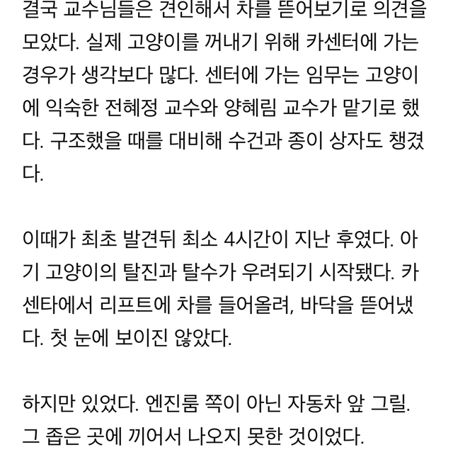 "차에 고양이 들어있음" 쪽지에 우르르 몰려나온 교수님들, 그 이후 | 인스티즈