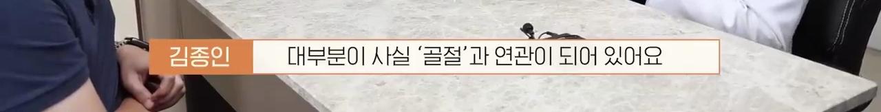 교통사고난 유기견 입양한 설채현 수의사 그리고 윙크 근황😉 | 인스티즈