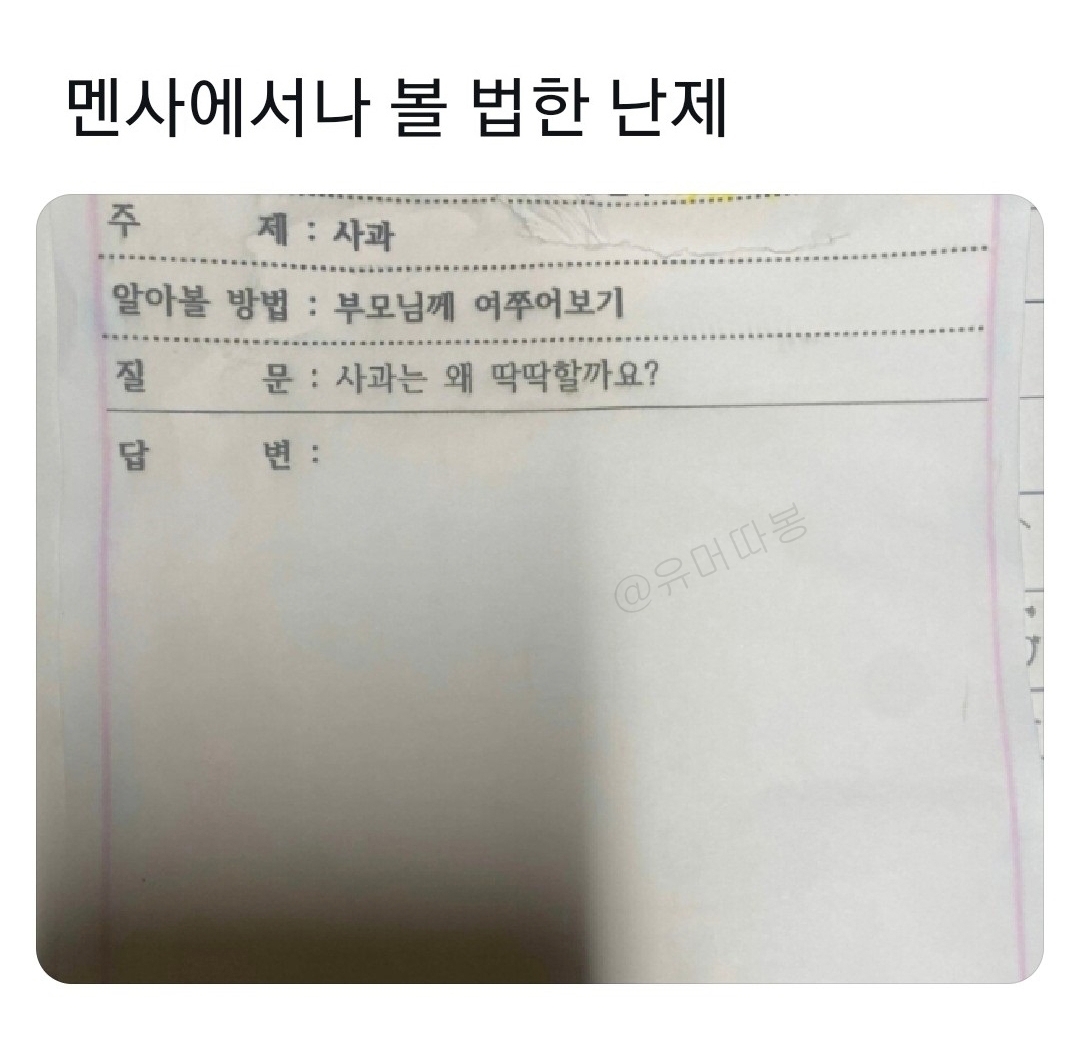 사과는 왜 딱딱할까요? | 인스티즈