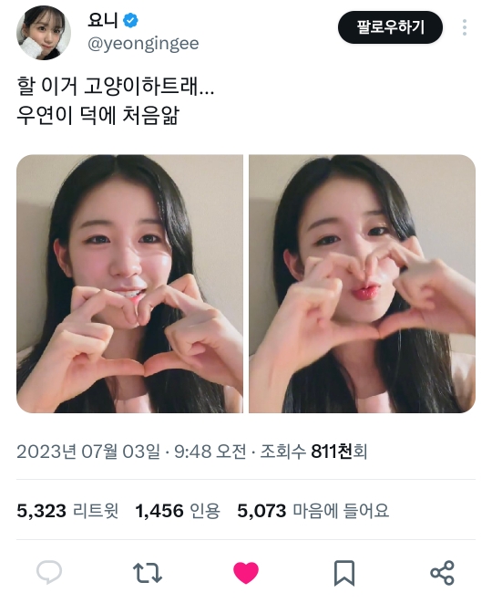 아이돌 사이에 유행돌 것 같은 틱톡커가 만든 아기 고양이 하트 | 인스티즈