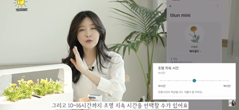 내가 사고 싶어서 찾아본 LG 틔운 미니 (가정 식물 재배기) | 인스티즈