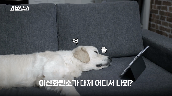 누워서 유튜브 보는 게 환경을 파괴하고 있다고? | 인스티즈