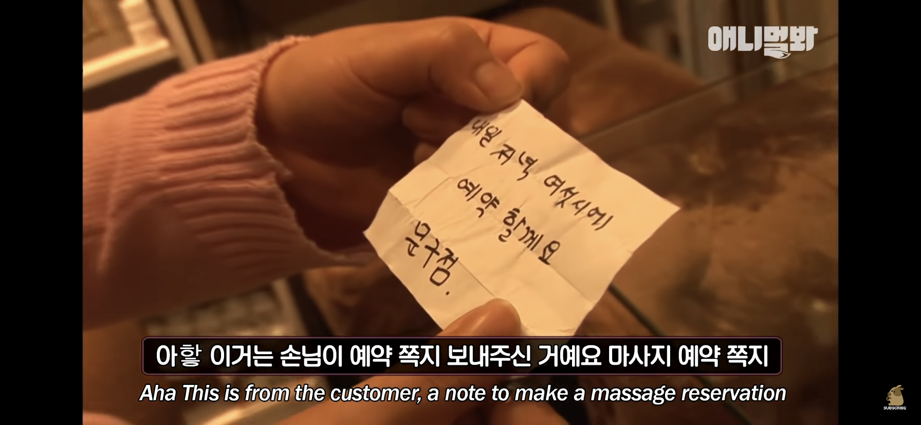 길고양이 목에 쪽지를 달자 생긴 영화같은 일 | 인스티즈