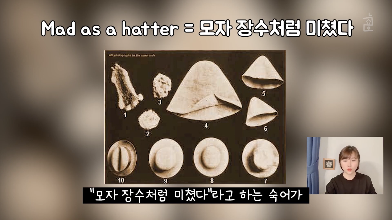 이상한 나라의 앨리스, 모자장수가 미친 이유는? | 인스티즈