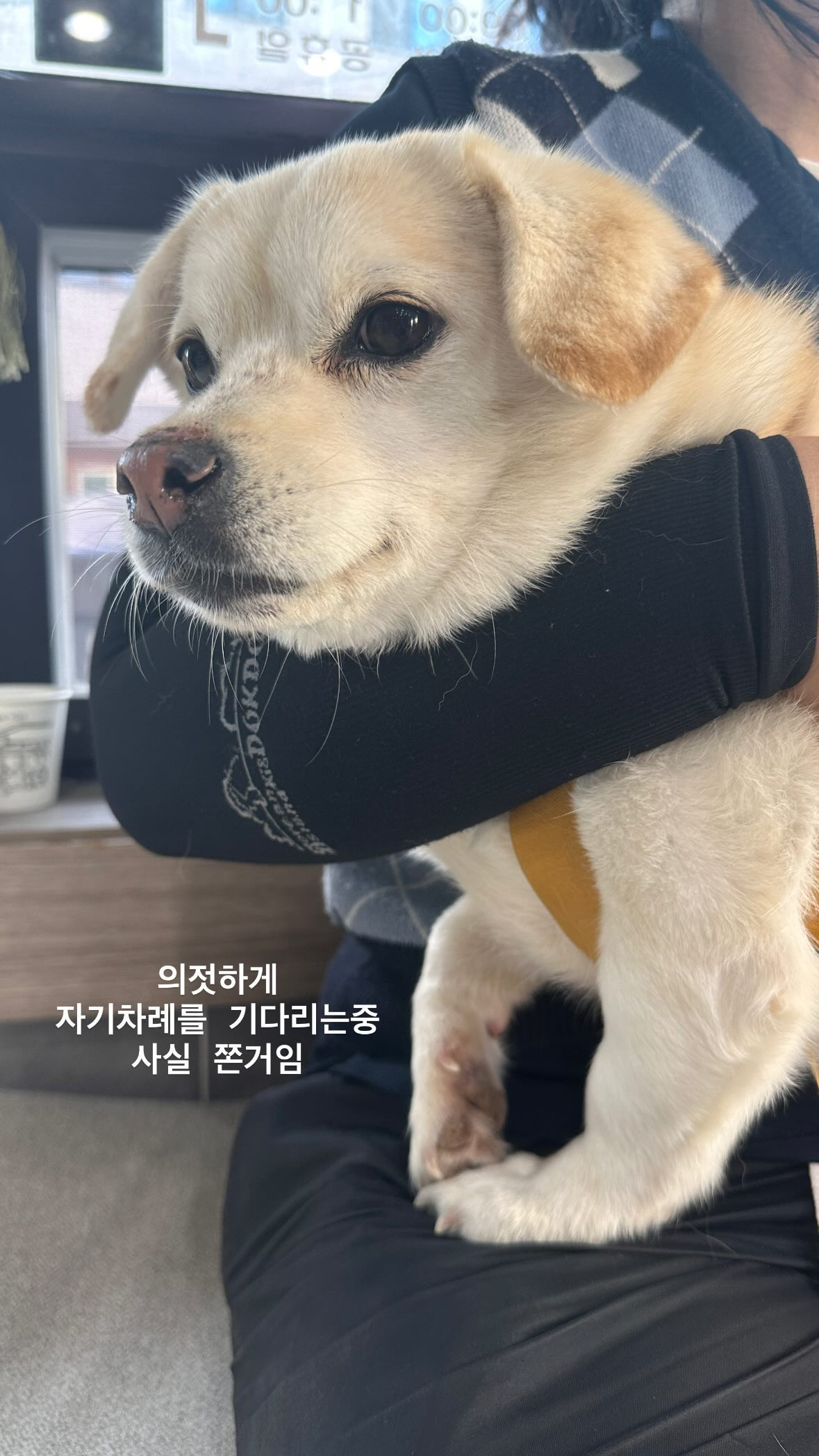 절미 근황 | 인스티즈