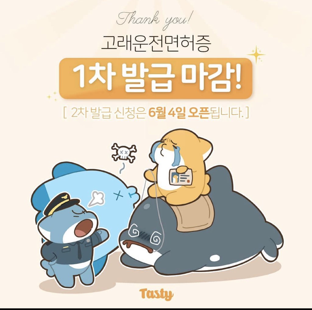 노잼도시 탈출을 위한 울산 고래운전면허증.jpg | 인스티즈