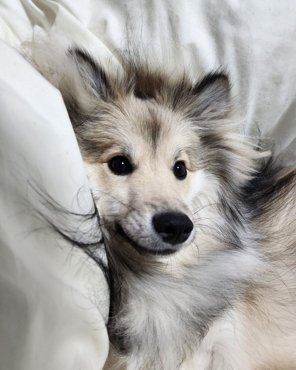 시장에서 만두 사는데 사장님이 잘생겼다고 만두를 더 줬어요 | 인스티즈