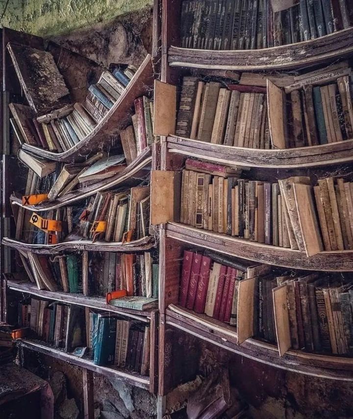 버려진 장소를 찾아 사진을 찍는 사람들 | 인스티즈