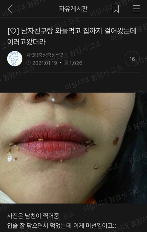 현웃터짐으로 연어해본 여시캡쳐 18탄 - 메이드바이여시 - ＊여성시대＊ 차분한 20대들의 알흠다운 공간