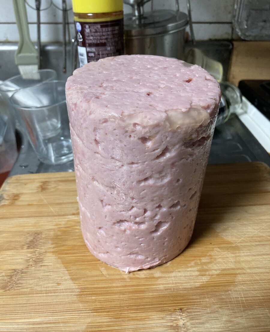 스팸을 직접 만들어본 루리웹 유저 | 인스티즈