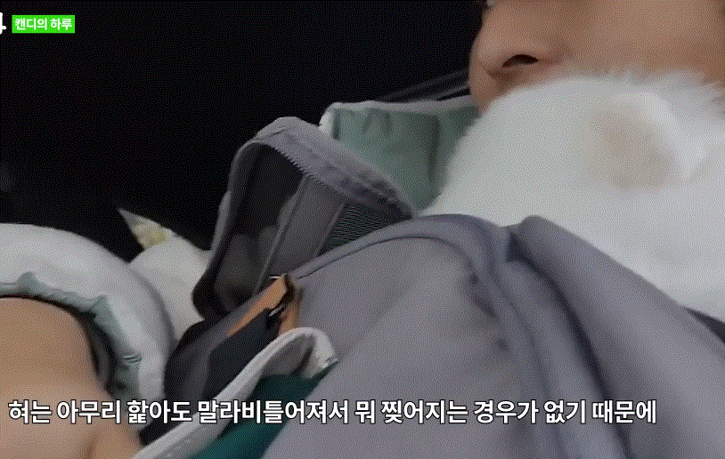 강아지가 핥을때 혀 내주는 기안84.gif | 인스티즈