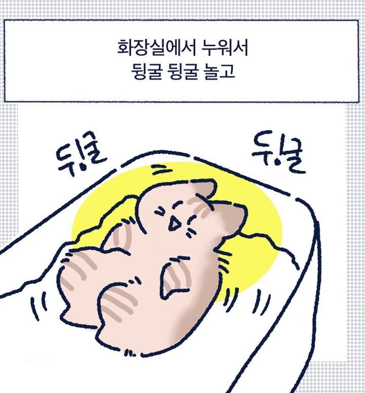 아깽이들은 왜...? | 인스티즈