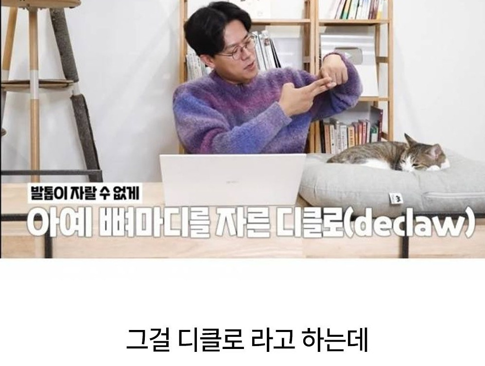 유명 연예인이 데려온 고양이를 보고 기겁한 수의사 | 인스티즈