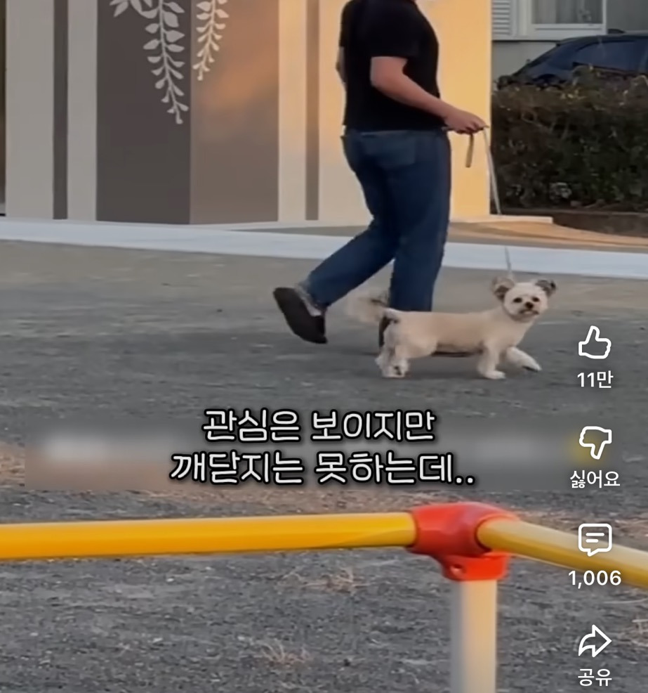 입양 간 강아지가 1년만에 임보자를 알아볼까? | 인스티즈