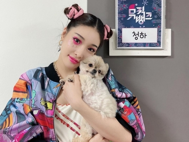 펫샵 NO! 유기견 입양한 연예인들 | 인스티즈