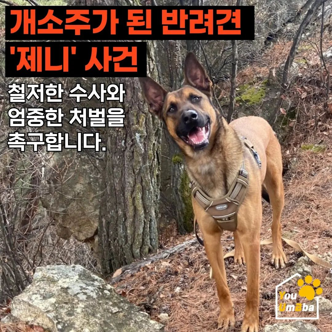 없음 이미지